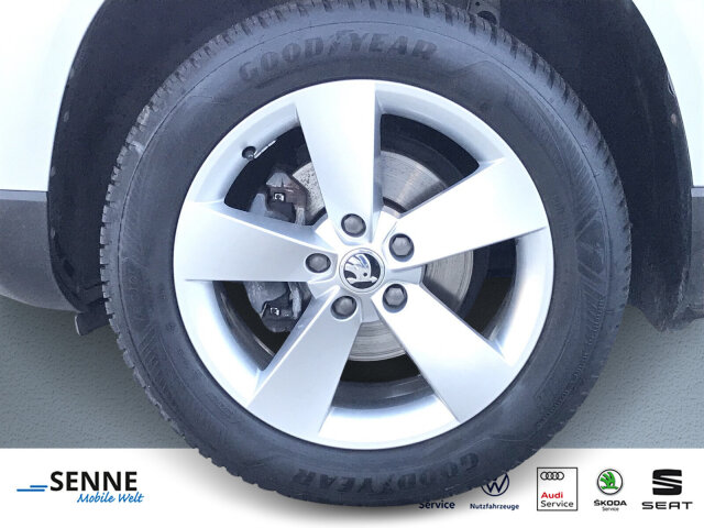 Karoq 1.0 TSI Ambition Navi, PDC, Sitzh. Klima